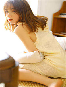 《蜂蜜四叶草》