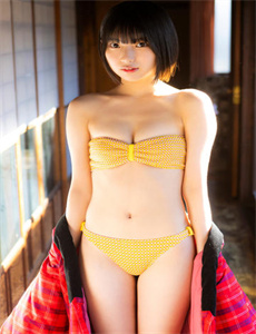 《太子妃升职记 电视剧》