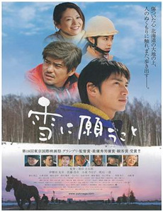 当一天中国人第1季