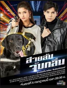 明星大侦探极速破案版