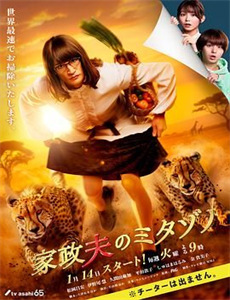 如果有妹妹就好了小剧场